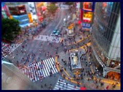 Shibuya Crossing